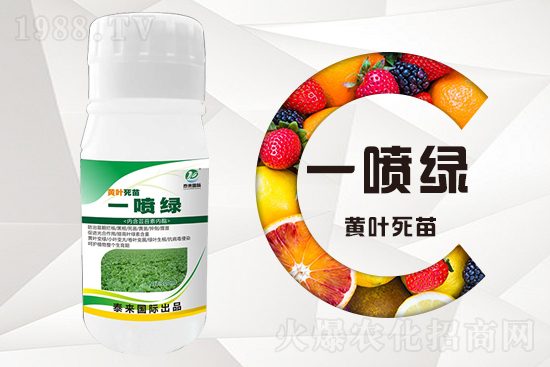 大棚蔬菜育苗為什么容易死苗？怎么解決？