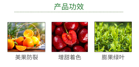 ������ʩ������Ƽ����޹�˾923598_03