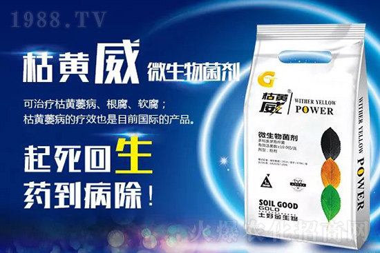 ���Sή�����ݵȲ������Ӝ皢�������͉�����