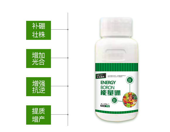 �o(h��)�����H855863_02