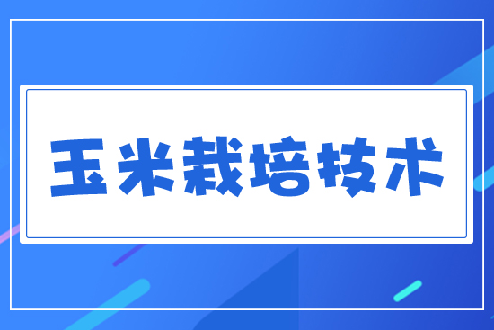 �������༼�g(sh��)