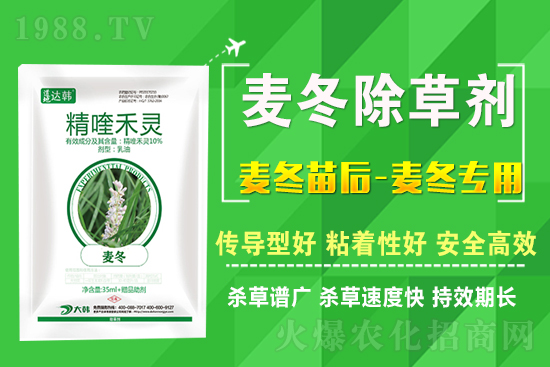 �������݄��r������2022.4.11