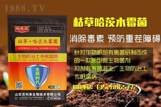 ���������l(f��)��ô���Σ���������ʲôˎ�÷���Ч������