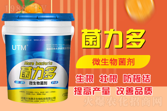 ������ʺͻ��ʵă�(y��u)�݌������������Ч�������