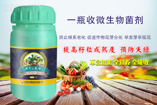 ���r(n��ng)���W(w��ng)ϲӭ�����ѣ��y�և���ʘI(y��)����ؔ(c��i)��֮·��