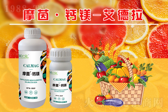 �����a(b��)�}�S���ځ�(l��i)�ˣ�����a(b��)���}�V����