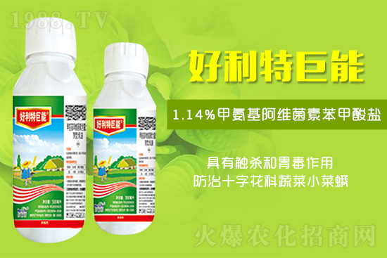 ʮ�ֻ����߲˲����x(ch��ng)�C�Ϸ��δ�ʩ