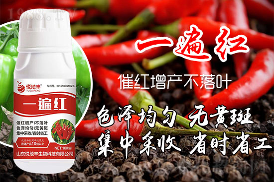 �����߼t��ʩ��ô�������������ǰ�����������߼tˎʲô�r(sh��)���ã�