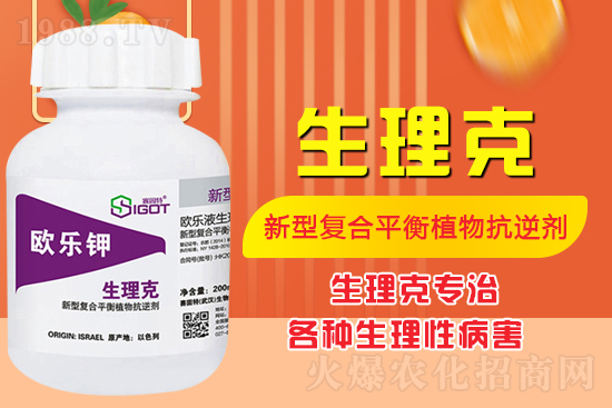 ����Ě������ʲô�Y���ô��Q����Ě������