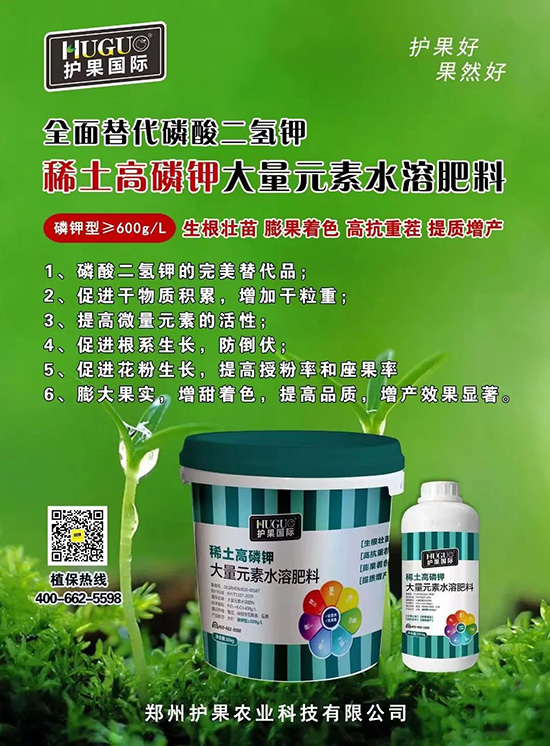 ⛷ʴ�q�r(ji��)���@�N⛷����(sh��)���ϣ����������������ռ���f(w��n)�Ј�(ch��ng)