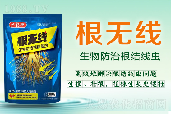 ���Y(ji��)���x(ch��ng)�������ך��^�y���@�ӷ���Ч���õ��@����