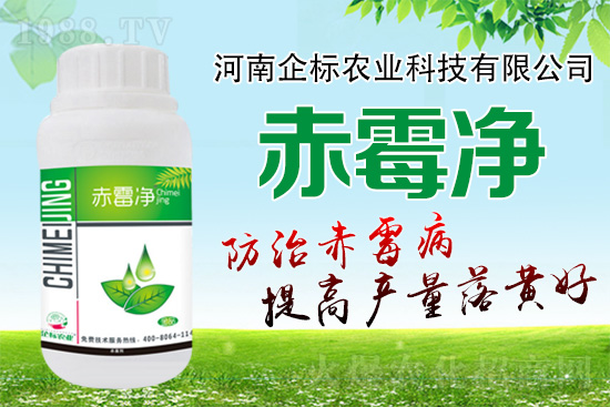 �o�����ѣ�δ��ʮ����С����ù�������P(gu��n)�I������(w��)��ץס��