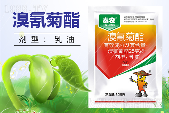 ������ˎ������������߀Ҫ�����