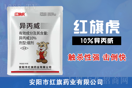 10%������-�t�컢-�t��ˎ�I(y��)