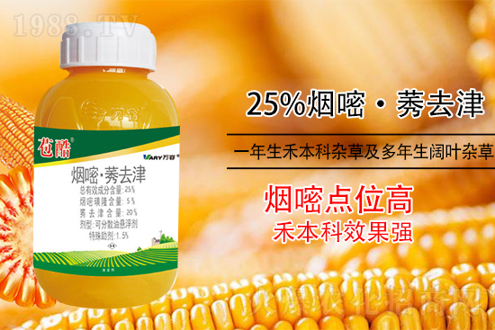 ���׳��ݣ��e���@�׷N���݄���