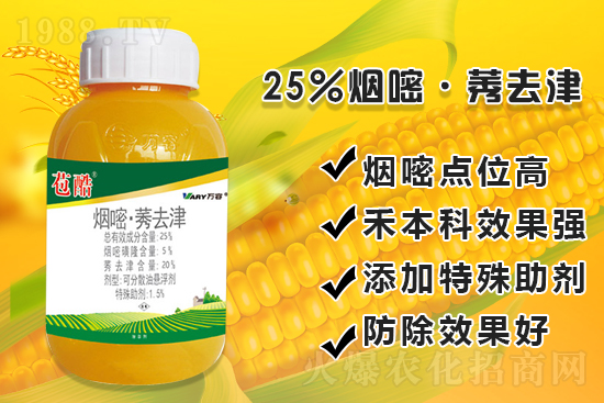 ���׳������e���@�׷N���݄���