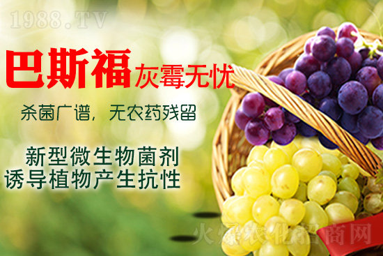 ���ѻ�ù��ԓ��ν�Q����ù����ˎ���h��