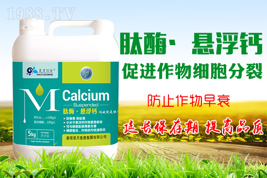 �O���仨���a�}���P�I���O���a�}���Ă��`�^(q��)��֪���᣿