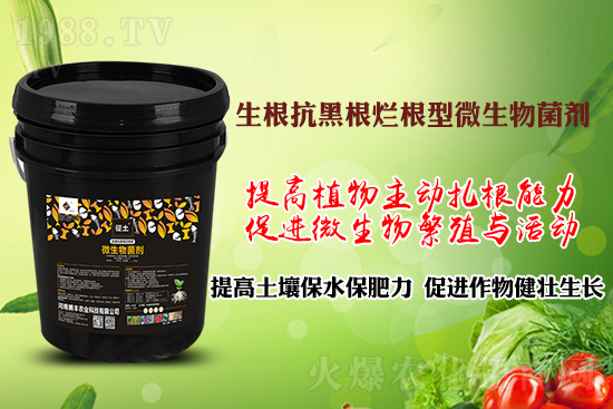 ����ڸ��������S�������l�l(f��)���á������p�ɽ�Q�����f�Nֲ����������