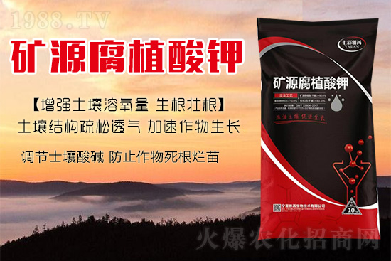 ����Nֲ���������ׂ��������Ӹ��Ƹ�ϵ��r����