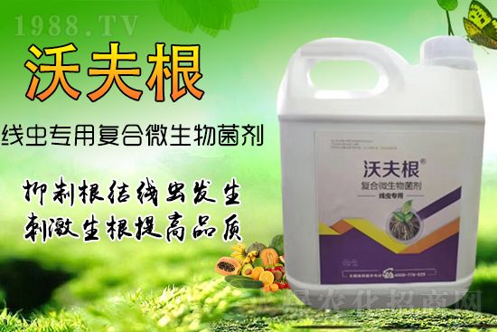 ���Y(ji��)���x��Ⱦ���������������У�������Ч����!