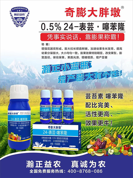     ������Ҫ�߮a��������P�I���������������Dɫ�����u��������ڵĮa����Ʒ�|�����������S��Ĺ��r���r������ӳ�Լҵ���������ס���������������������������������ܛ���չ�����r�l���l(f��)����