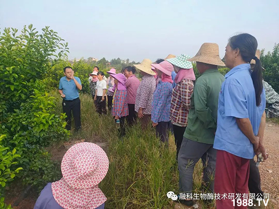 走進田間地頭，助力柑橘產(chǎn)業(yè)