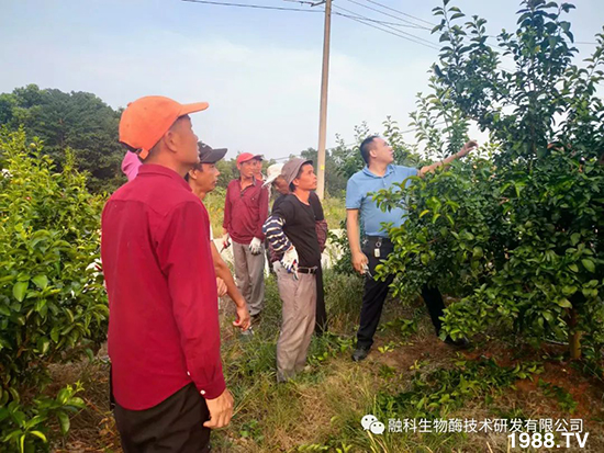 走進田間地頭，助力柑橘產(chǎn)業(yè)