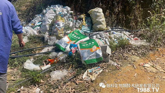 走進田間地頭，助力柑橘產(chǎn)業(yè)