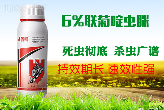 �������x���l(f��)�l��������ע����ǰ�������ׂ������p�ɸ㶨��