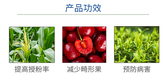 �����ɭ�����＼�g(sh��)���޹�˾(912377)_03