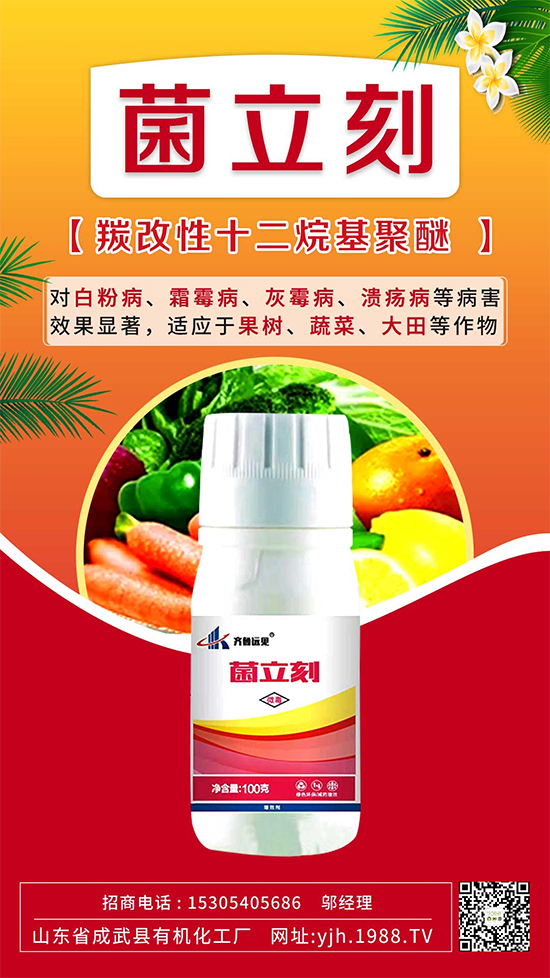 ����˪ù��߀�ǰ׷۲����e��ɵɵ�ֲ���������ηֱ漰������