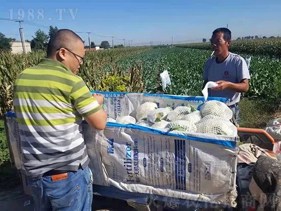     �@�����۷��r(n��ng)�YȦ������ԭ����Ȼ���ͳɱ��߷�Ч�_��(chu��ng)����