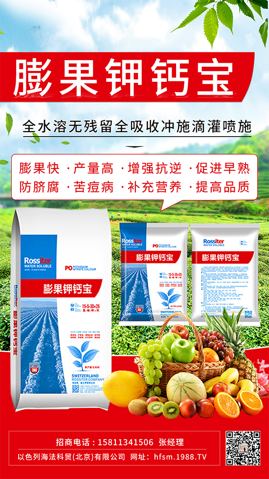 �����M(j��n)������ڣ�����������ֵ�����@��(g��)����ֵ�Ó�����