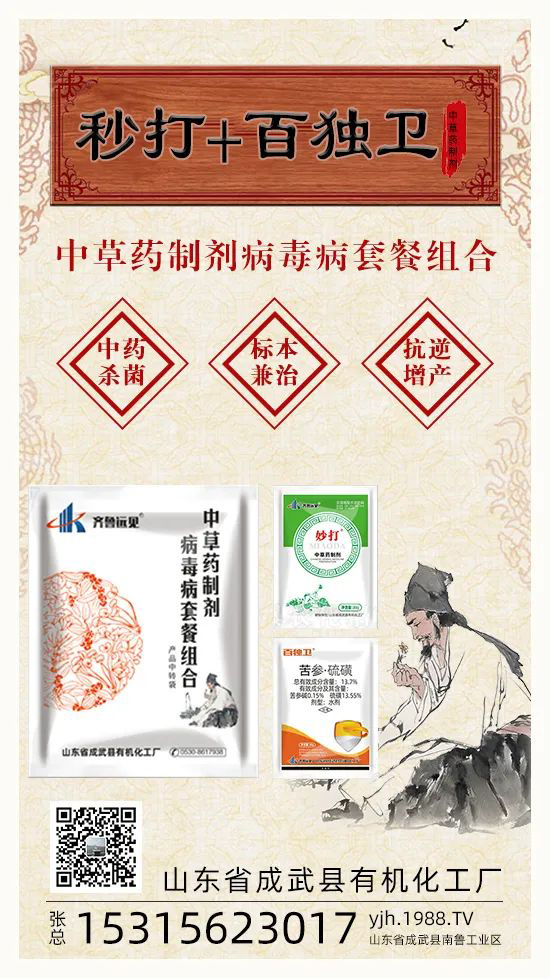 ��ֲ�ﰩ�Y-���������������������в�ˎ������������