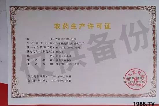 ��ֲ�ﰩ�Y-���������������������в�ˎ������������