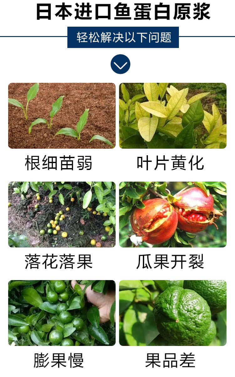 �ձ��M(j��n)���~(y��)����ԭ�{5