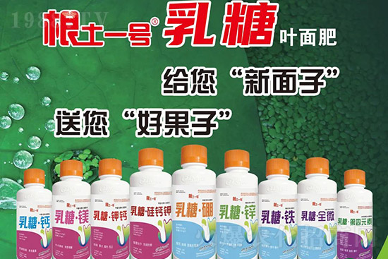 �J����������c(di��n)����Щ���J����������ôʩ