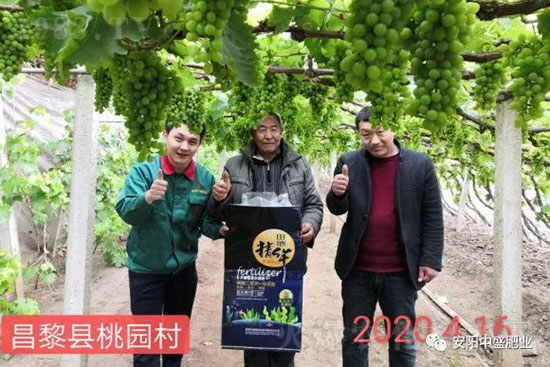 ����ܛ����ʲôԭ������η��Σ�