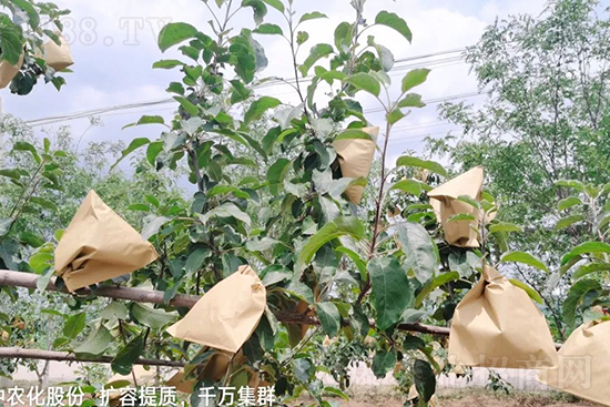     �����״���ɜp���r(n��ng)ˎ���������ƹ��ӵ����^Ʒ�|(zh��)���ɴ����߹�Ʒ�u���������׳��۲��u���߃r�����Թ����״�Ŀǰ��Ȼ���҇����@����Ҫ�����������״��O��������Ǻ���Ҳ�ٲ�����