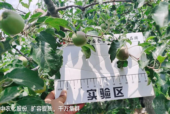     �����״���ɜp���r(n��ng)ˎ���������ƹ��ӵ����^Ʒ�|(zh��)���ɴ����߹�Ʒ�u���������׳��۲��u���߃r�����Թ����״�Ŀǰ��Ȼ���҇����@����Ҫ�����������״��O��������Ǻ���Ҳ�ٲ�����