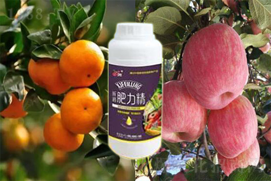 ����׷�ʏͺϷʺ�߀�����غ����ܶ��˶��e�������������_�x��