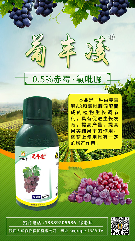 ���ѹ���ϡ������С����(y��n)����ô�k���@Щ�����ஔ(d��ng)��Ҫ