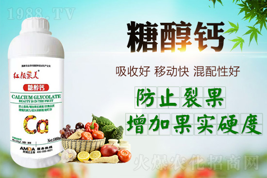 果實裂果現(xiàn)象嚴(yán)重怎么辦？怎么做才能有效避免？