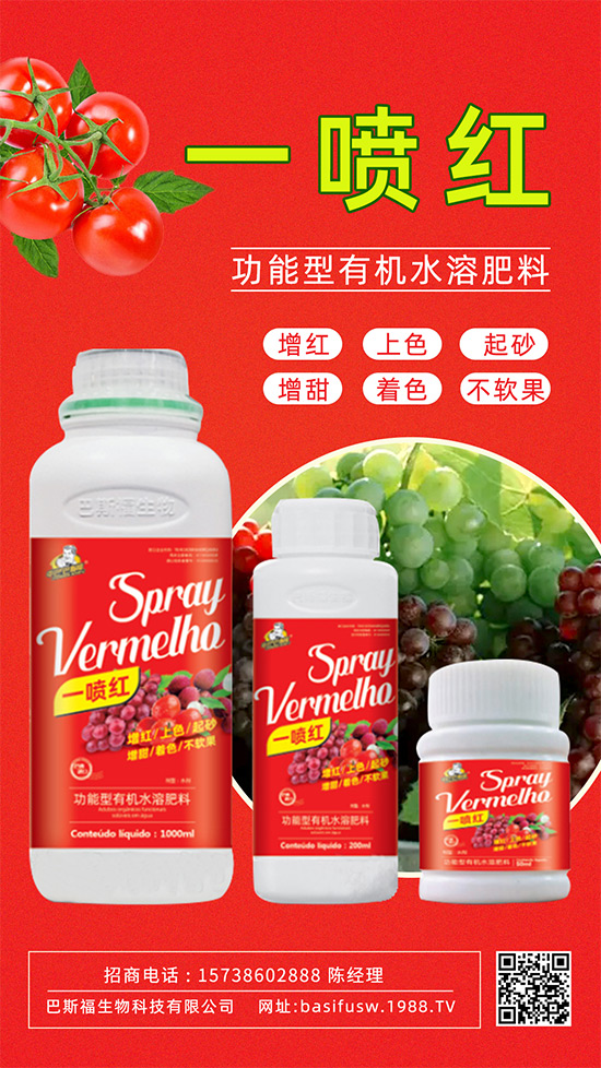 ����(sh��)�D(zhu��n)ɫ����������������������u�r(ji��)������ǰ������