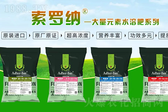 �ͺϷʝq�r���� �����@�׿�߶��M�����ͷʅs�����Ј����G�G��