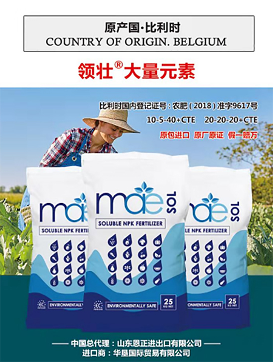 ��500�2000���߶��M(j��n)�ڷʡ��ԃr(ji��)�Ȱ�����