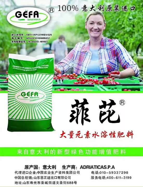 ��500�2000���߶��M(j��n)�ڷʡ��ԃr(ji��)�Ȱ�����