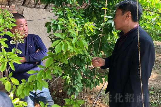 ���r(n��ng)���½������k��̎ؓ(f��)؟(z��)�ˣ�ͬ·ͬ�й��l(f��)չ