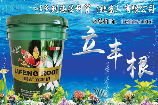 ���������Ч����ô�����Ȃ��y(t��ng)���Ϻ�����